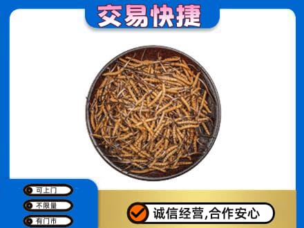宜昌市秭归回收散虫草